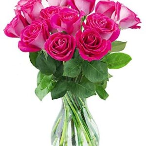 Hot Pink Roses