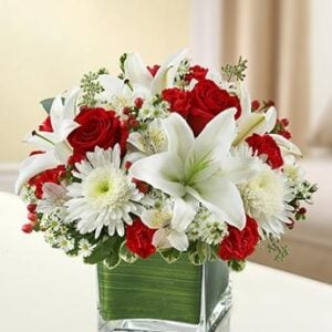 Healing Hope-Red & White