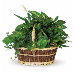 Bountiful Garden Basket