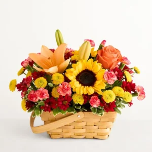 Fields of Europe for Fall Basket Deluxe