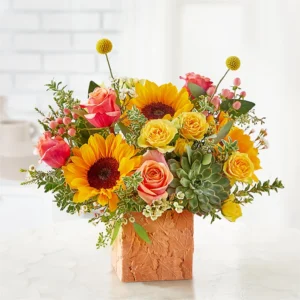 Sunflower Season Premium