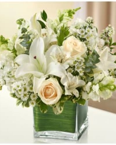 <p>This all-white arrangement features a refined blend of roses, lilies, snapdragons, monte casino, stock, and alstroemeria. Accented with variegated pittosporum, myrtle, and spiral eucalyptus, each bloom is thoughtfully arranged in a classic glass cube vase lined with a Ti leaf ribbon.</p>