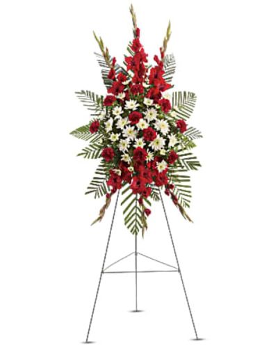 <p>Honor a life with dignity and heartfelt remembrance through a striking standing spray that combines bold red blooms with pure white accents. The spray features tall red gladioli and vibrant red carnations, symbolizing courage, love, and lasting devotion.</p>