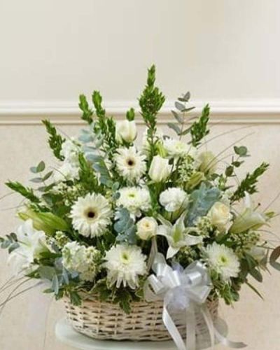 <p>The Serenity Basket Arrangement offers a heartfelt expression of sympathy, thoughtfully designed to honor a life with beauty, grace, and peace. This sophisticated arrangement features pure white roses, hybrid lilies, Gerbera daisies, and additional fresh seasonal blooms.</p>