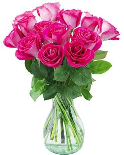 <p>This stunning bouquet of hot pink roses offers a vibrant display of passion and affection, making it perfect for surprising someone special with a timeless expression of care. The elegant arrangement features fresh, vibrant hot pink roses available in one dozen, eighteen, or two dozen blooms.</p>