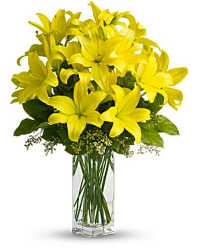 <p>Bring warmth and cheer to any day with a radiant bouquet that celebrates the beauty of spring and the uplifting power of yellow lilies. This delightful bouquet features vibrant yellow Asiatic lilies, whose graceful petals and rich golden hue capture the essence of joy and renewal.</p>