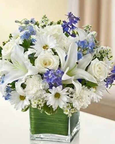 <p>This elegant arrangement features a soothing blend of blue delphinium, pure white lilies, soft white roses, daisy poms, and carnations. Hand-arranged in a stylish glass cube vase, the design is clean, modern, and impactful—perfect for bringing a sense of peace to a hospital room, home, or workplace.</p>