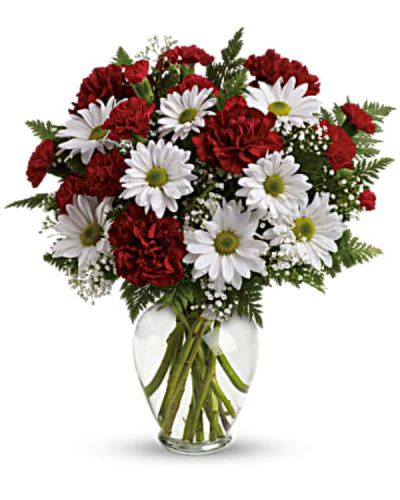 <p>Let someone special know just how much they mean with a heartfelt bouquet filled with timeless red and white blooms. This sweet and traditional bouquet features vibrant red carnations, red miniature carnations, and cheerful white daisy spray chrysanthemums.</p>
