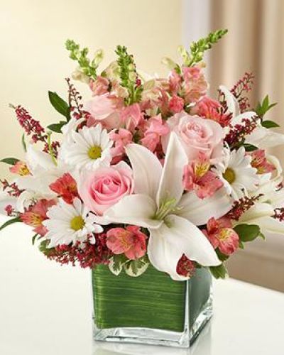 <p>Handcrafted in a chic glass cube vase, the bouquet features a tender blend of pink roses, pink snapdragons, white lilies, pink alstroemeria, white daisy poms, and airy pink heather. Accented with variegated pittosporum and myrtle, the lush, layered design radiates warmth and hope from every angle.</p>