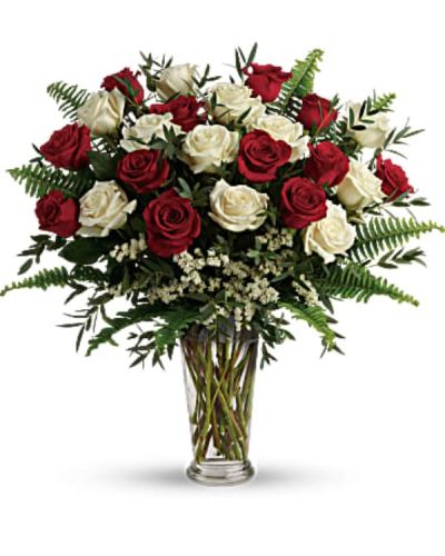 <p>This deluxe design features eighteen premium roses—half red, half white—expertly arranged among airy white sinuata statice and textured parvifolia eucalyptus. The arrangement is presented in a stately clear Romanesque vase, offering a refined silhouette that beautifully elevates the lush blooms inside.</p>